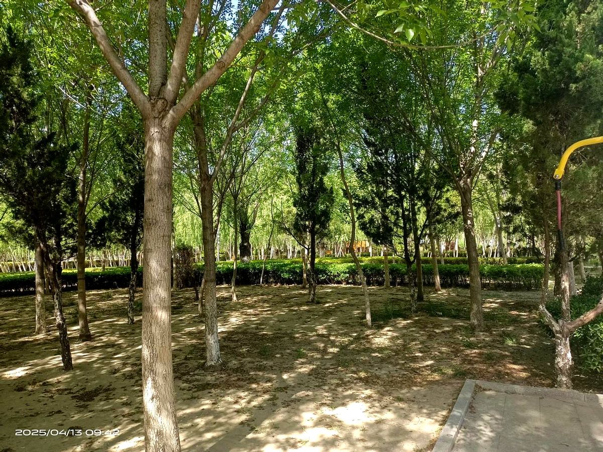 多宝助手：中美越贸易博弈，关税冲突与产业链转移的黑色幽默
