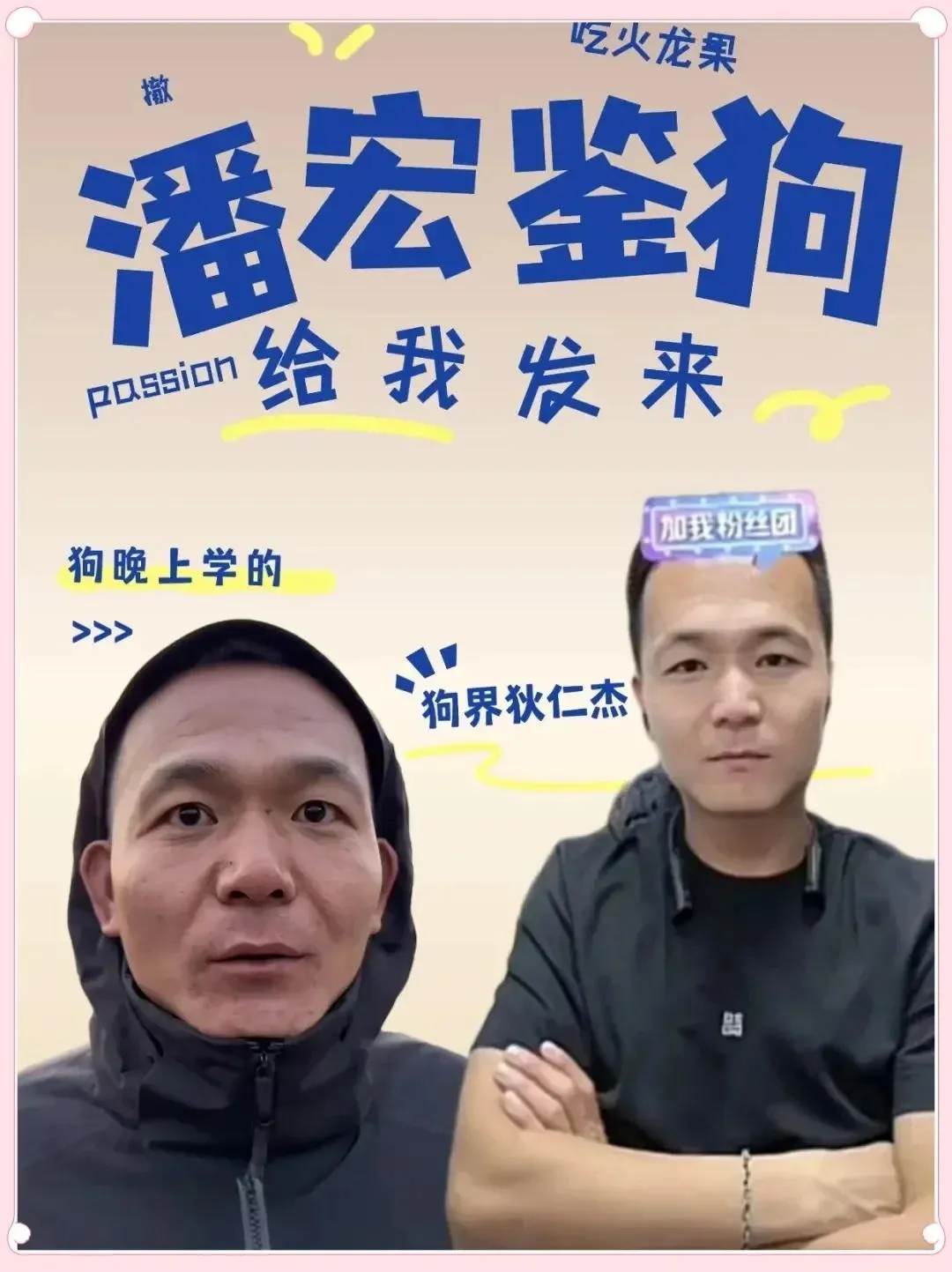 超单助手靠谱吗：网红潘宏虐狗事件，背后的真相与动物保护的呼唤
