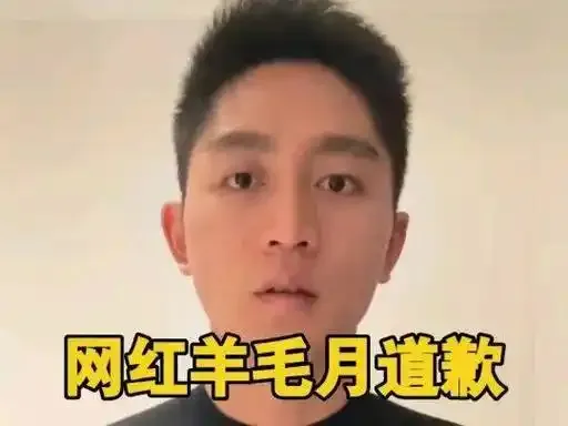 小评评助手下载安装：李佳琦与羊毛月的傲慢言论引发公众反感，呼吁抵制其不当行为