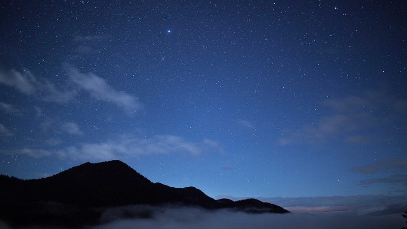 易团助手补单软件：全球科技巨头排名解析，华为、苹果、三星引领未来创新之路