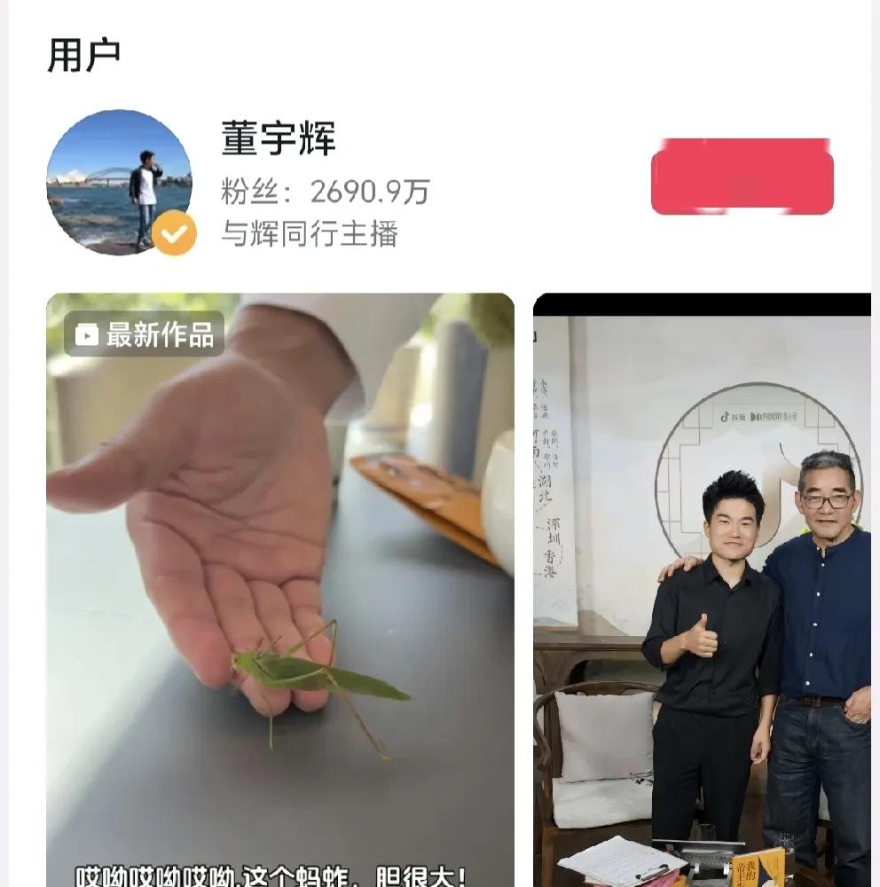 拼多多动销出评：董宇辉直播带货掉粉现象，行业洗牌与内容为王的新挑战