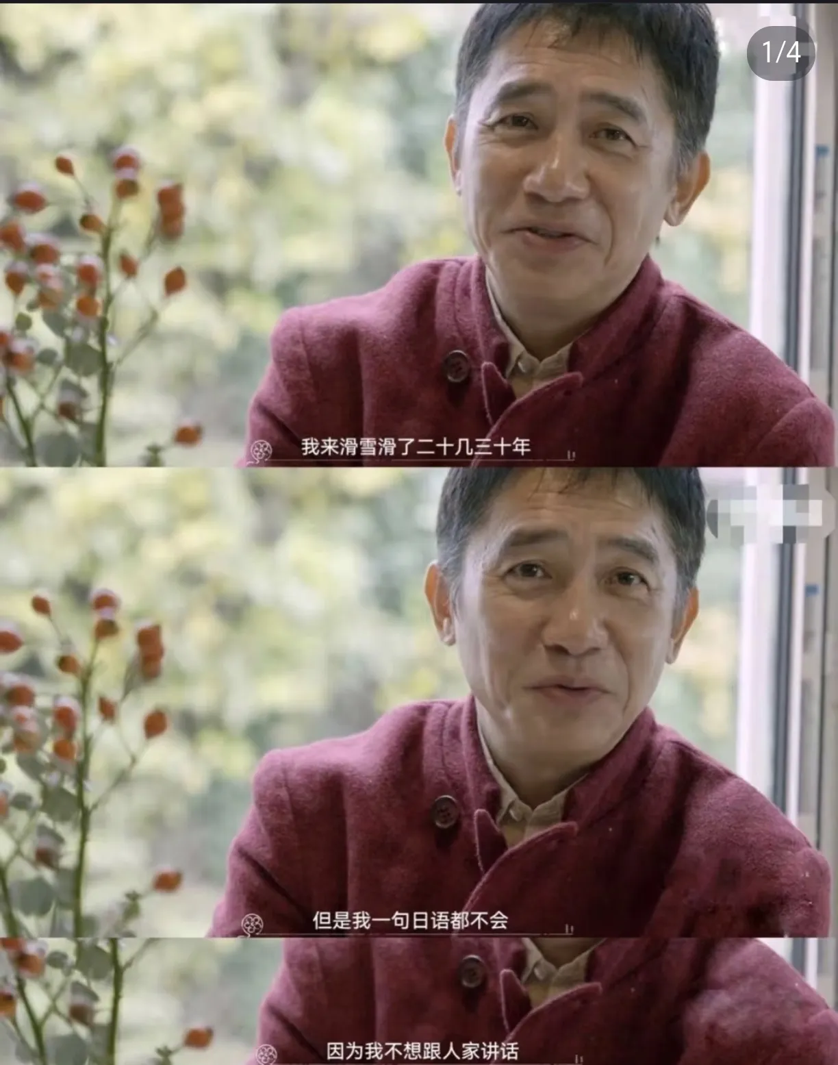 潜力鸭：明星频繁造访日本的理由，时尚、美食与文化探索之旅