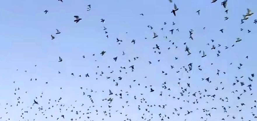 Q助手下载：马云十年前的感悟，钱买不到时间，高净值人群的新追求