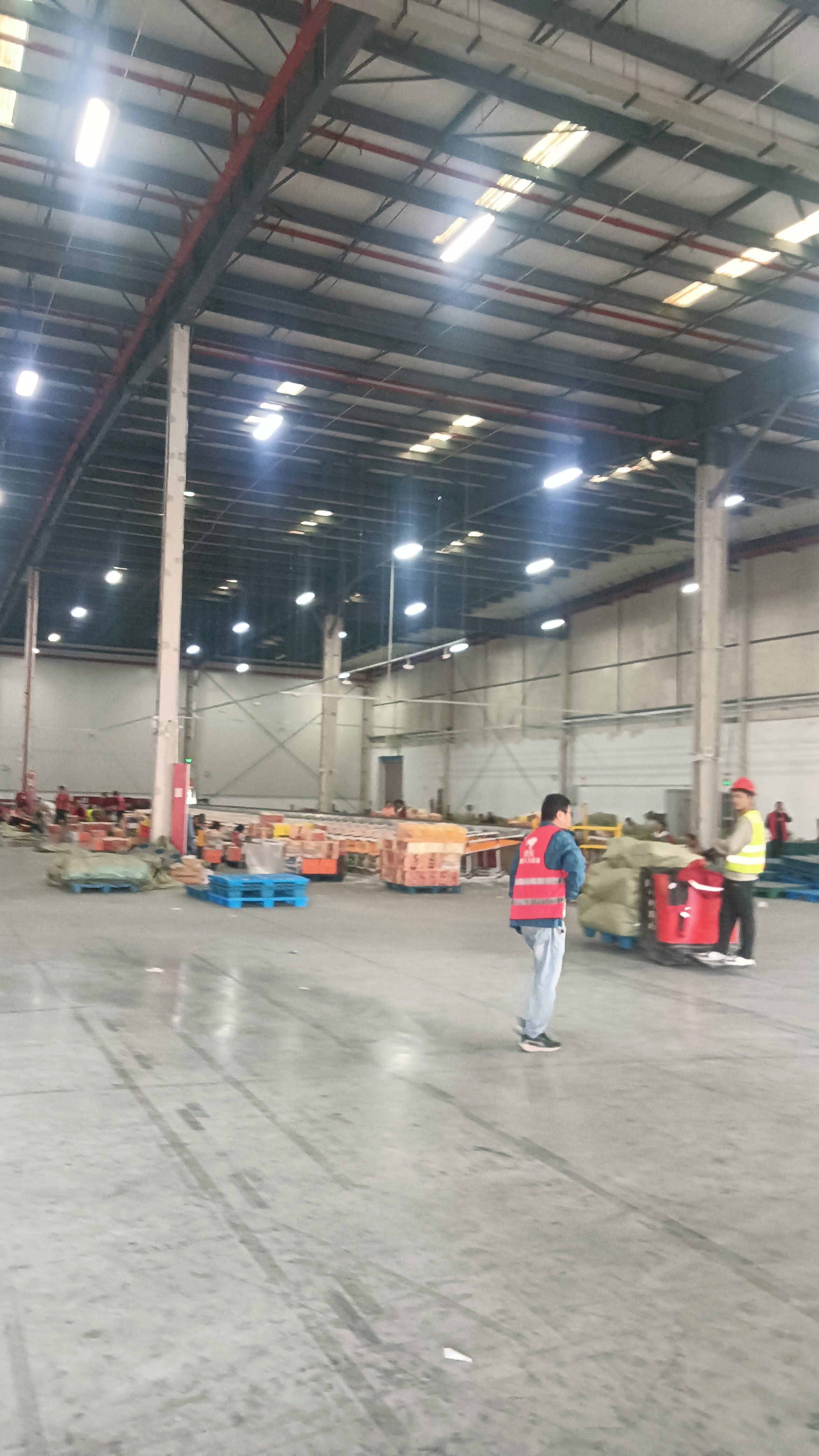 增强助手：阳澄湖大闸蟹分拣中心，临时工工资低，劳动强度高的真实现状