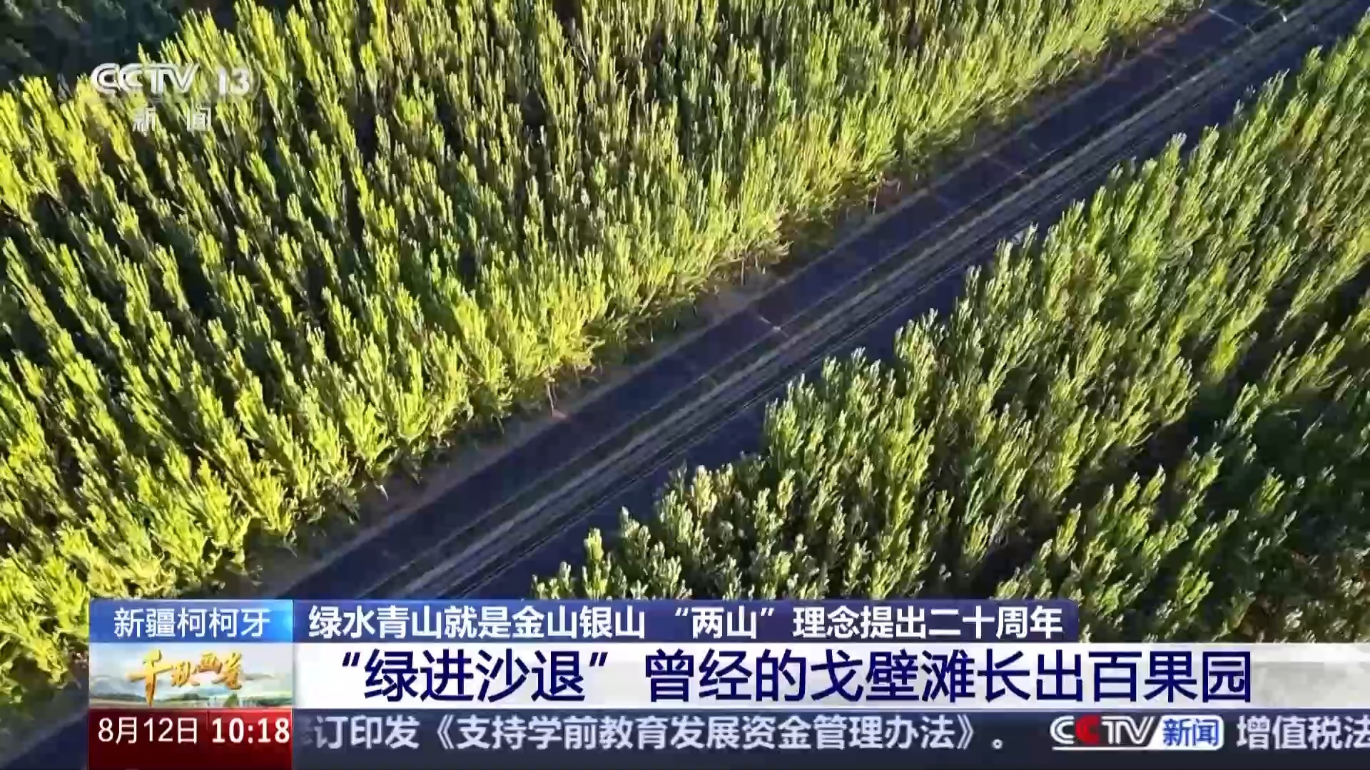 易评助手下载：生态转型如何将荒漠与竹林变成中国经济新动力的成功案例解析