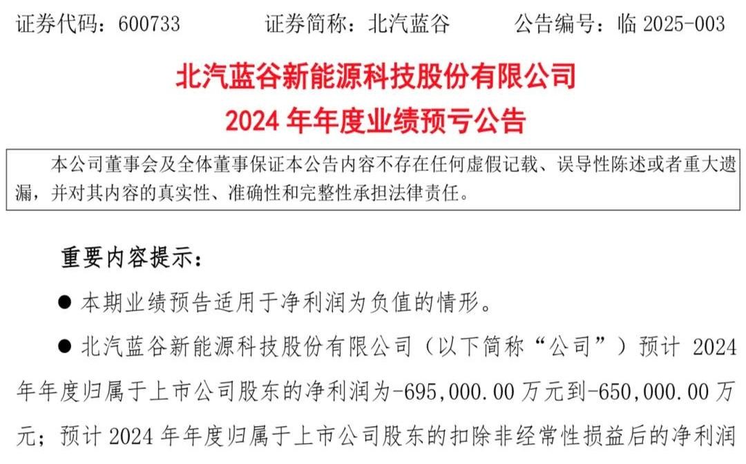 多多开团助手：2024中国汽车市场竞争分析，传统与新势力的销量较量与战略调整