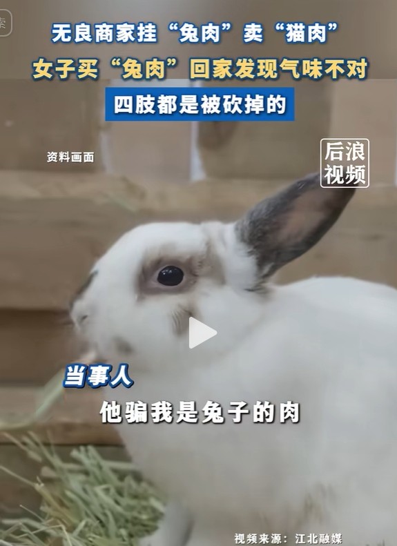 快火助手官网：卖假兔肉的摊贩竟用猫肉欺诈消费者，家猫惊恐不已！