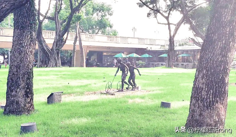 速评助手卡密：退休生活的智慧，自媒体创作不应绑架我们的时光