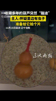 易评助手软件下载:沈阳男子收藏葫芦晃动引热议,网友调侃“或藏葫芦娃” 易评助手软件下载:沈阳男子收藏葫芦晃动引热议,网友调侃“或藏葫芦娃”