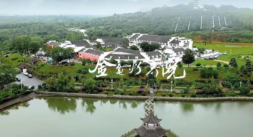 星评助手：沈敏离世引发企业家对健康与事业平衡的深思