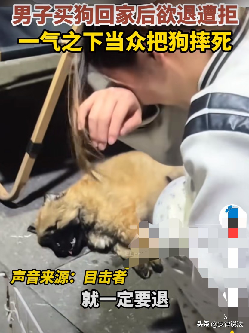 小G助手拼多多：男子当街摔死小狗事件，法律分析与公众反响