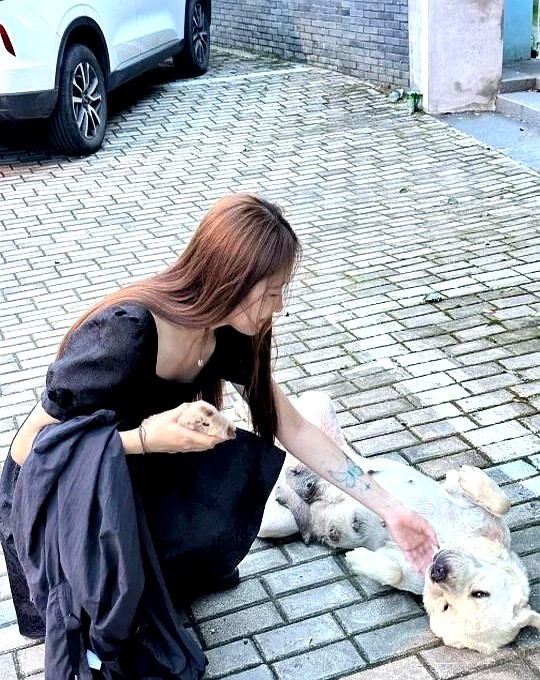 易出评出评软件：183cm北京女生寻恋爱搭子，打破小圈子，勇敢迈出第一步