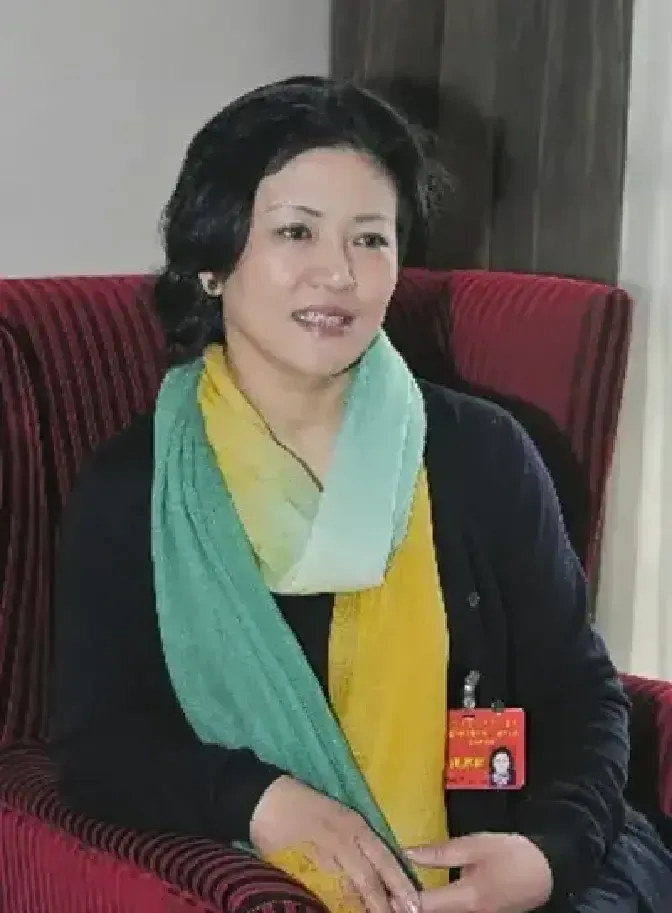 爆款助手：内蒙古女企业家樊小平，优雅与智慧铸就的成功人生