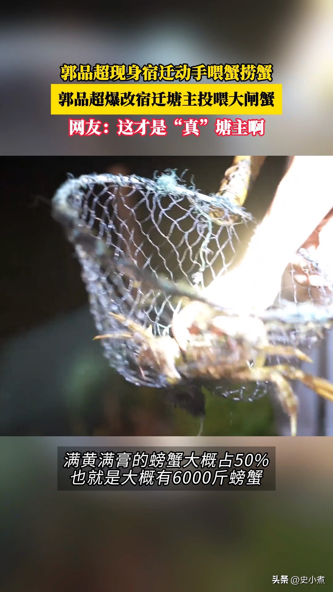 拼多多动销出评使用方法：明星郭品超的生态养蟹模式，大闸蟹品质升级与市场新机遇