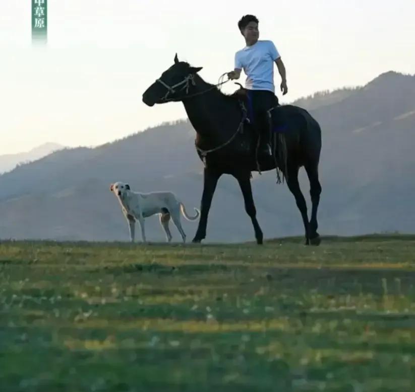多多留评官网：董宇辉的奋斗故事，从农村少年到网络红人，面对批评仍坚持梦想
