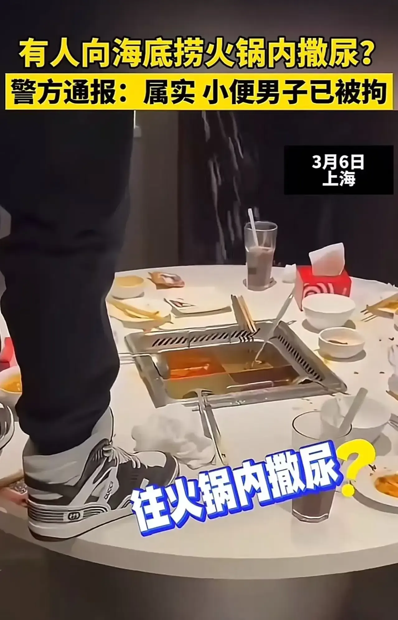 小G助手：网络红人文化代价，年轻人为博眼球不惜自毁形象的现象反思