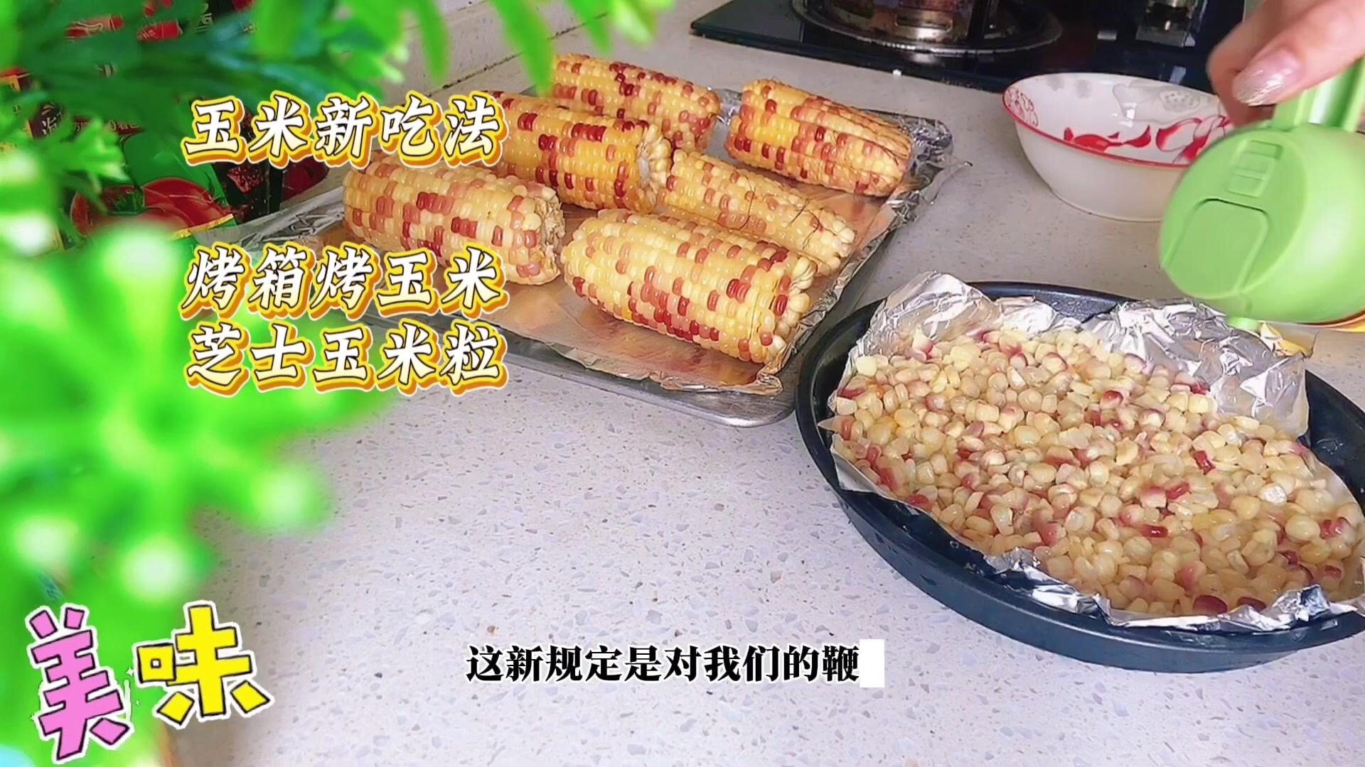 番茄管家软件：自媒体如何应对中视频升级与多元化变现策略解析