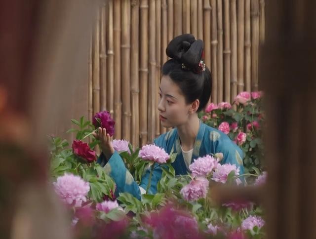 多成团助手：杨紫新剧《繁花似锦》，职场斗争与人性博弈的精彩揭秘