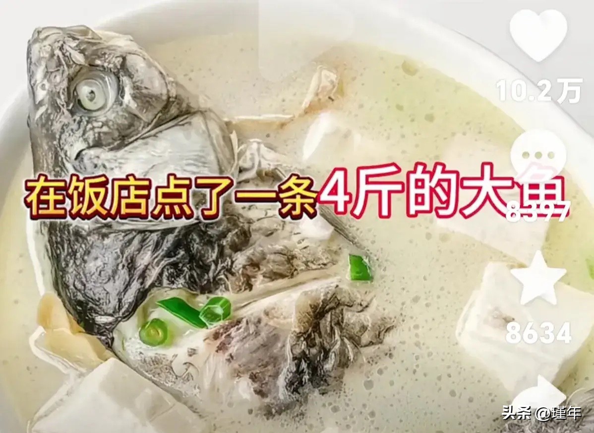 爆款助手入口：女子与杭州饭店因鱼斤重争执，揭示不良商家行为