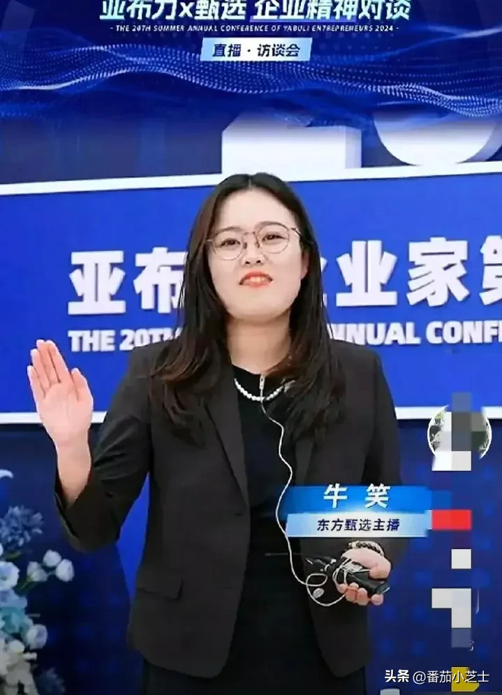 快火助手补单软件：老同事活力与年轻主播挑战，职场中的年龄与价值冲突