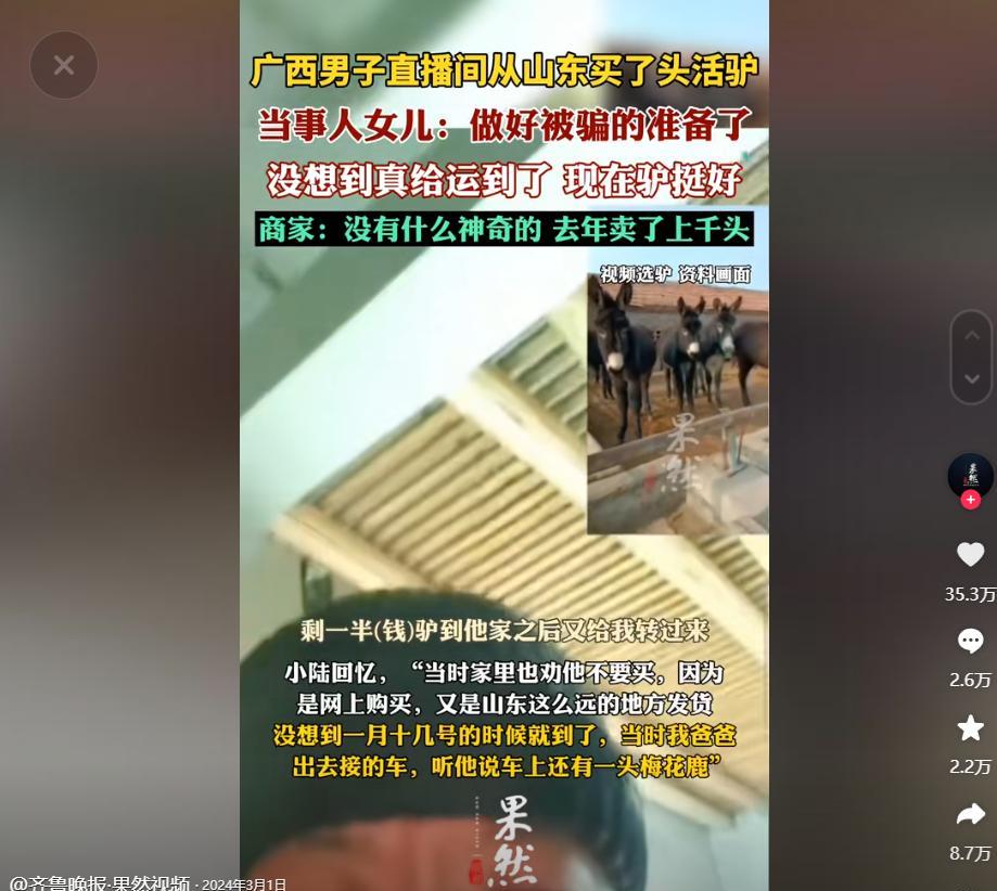 乐拼助手：广西大叔网购驴子引发惊奇，直播间买卖活物真相揭秘！