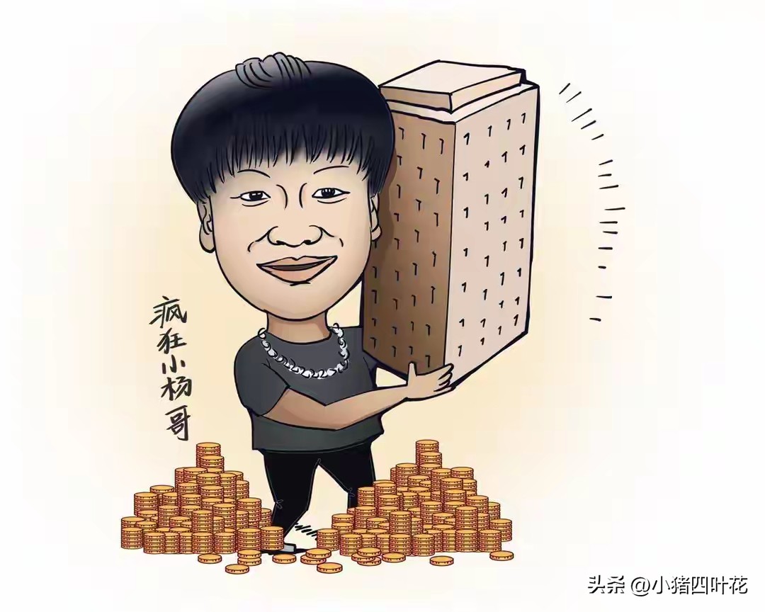 小评评助手软件下载：疯狂小杨哥的复出失败，直播带货行业信任危机的警示与反思