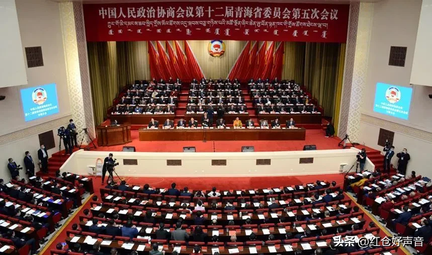 小P助手：创业与科技的负债困境，融资难题与放贷现象解析