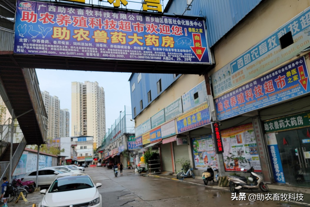 创优助手：广西助农畜牧科技有限公司2025年招聘30余名职工，欢迎自媒体推广和技术人才加入