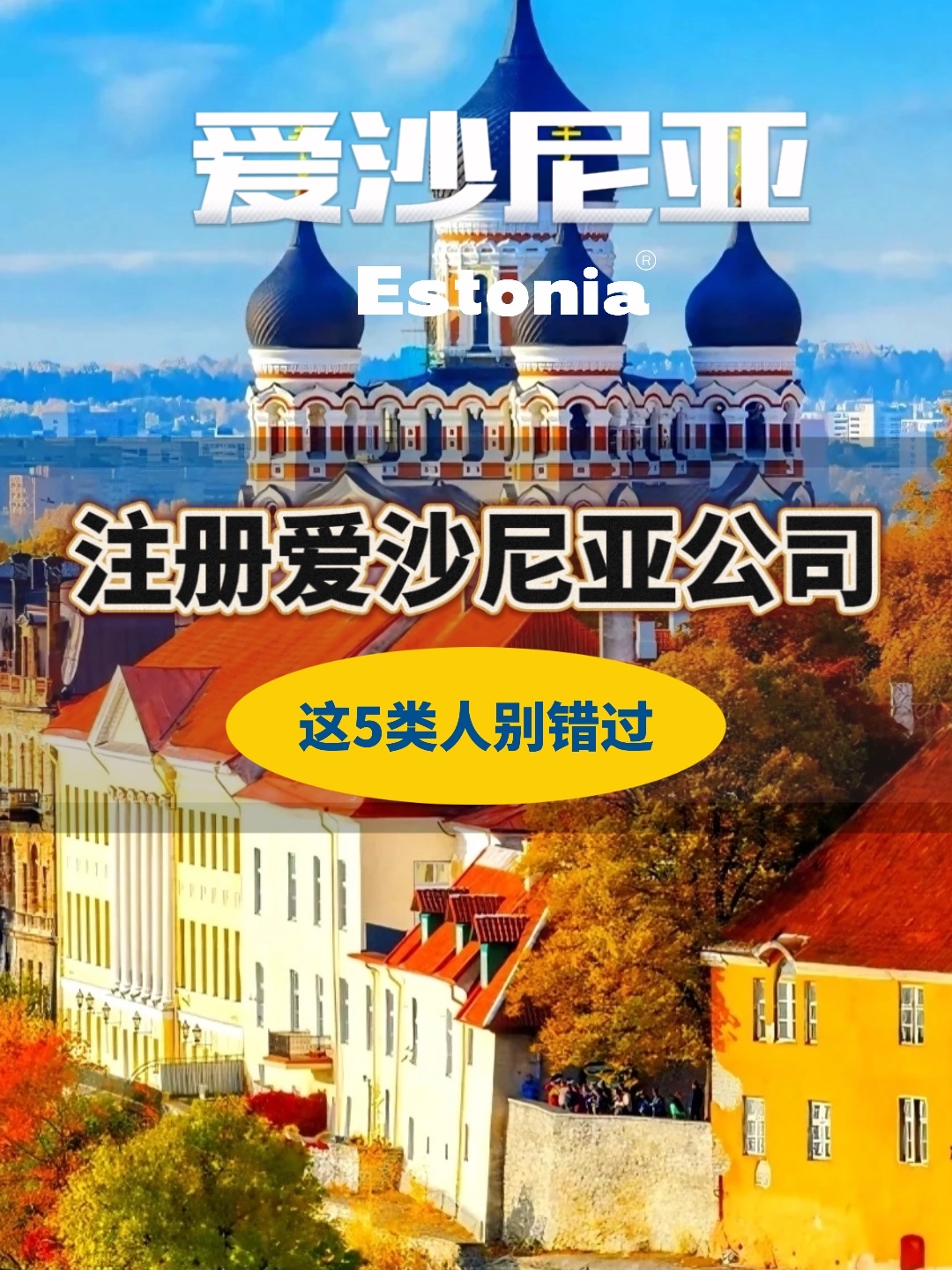 易评助手软件：注册爱沙尼亚公司的五大适合人群，助力跨境电商与外贸企业成功发展！