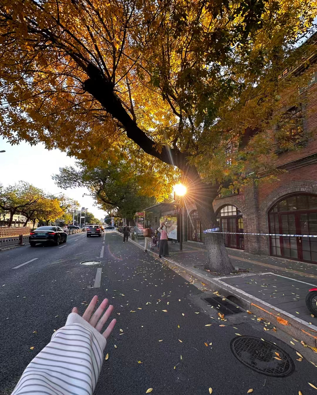 星云助手：亚马逊卖家必读，信息获取能力是成功的关键！