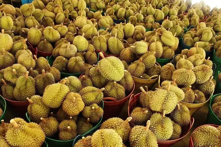 小Q助手小号：如何正确计算毛利率，掌握生意成功的关键数据分析技巧