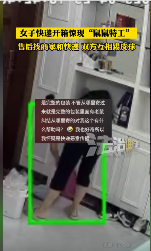 超单助手：深圳女子拆快递惊现活老鼠，维权之路充满波折引发热议