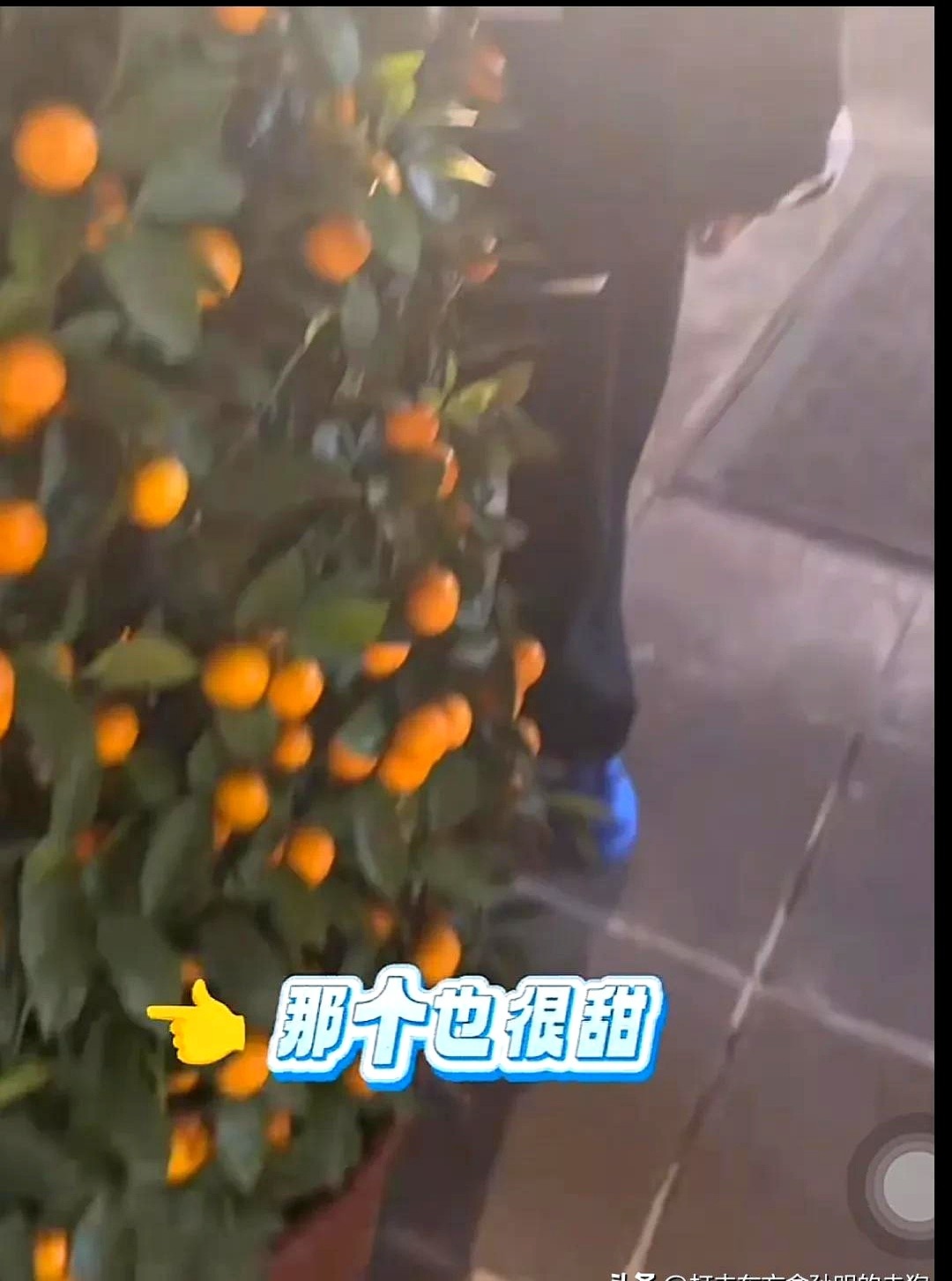 51助手官网：董老师直播带货玩转地域文化挑战，笑翻22万观众！