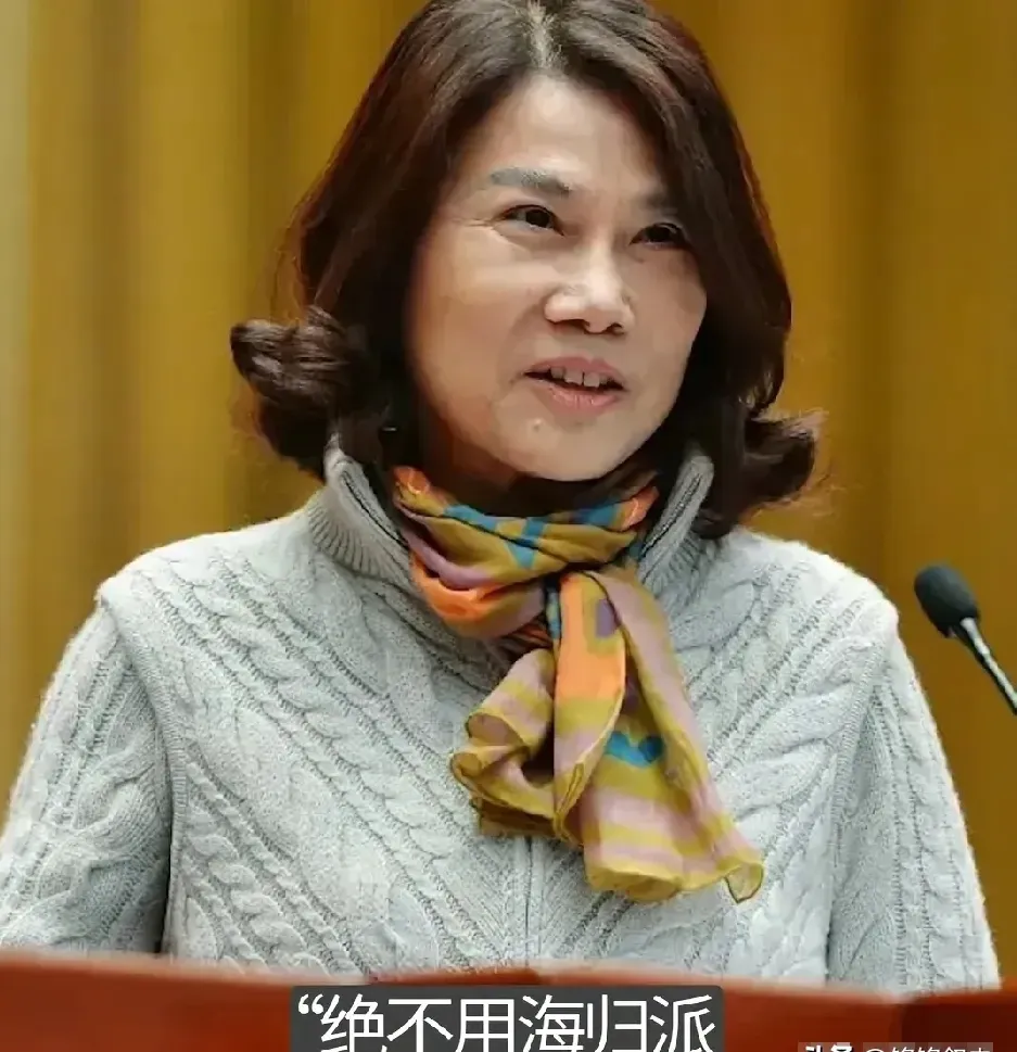 速评助手：董明珠“海归有间谍”言论引发的企业管理危机与社会认知裂痕分析