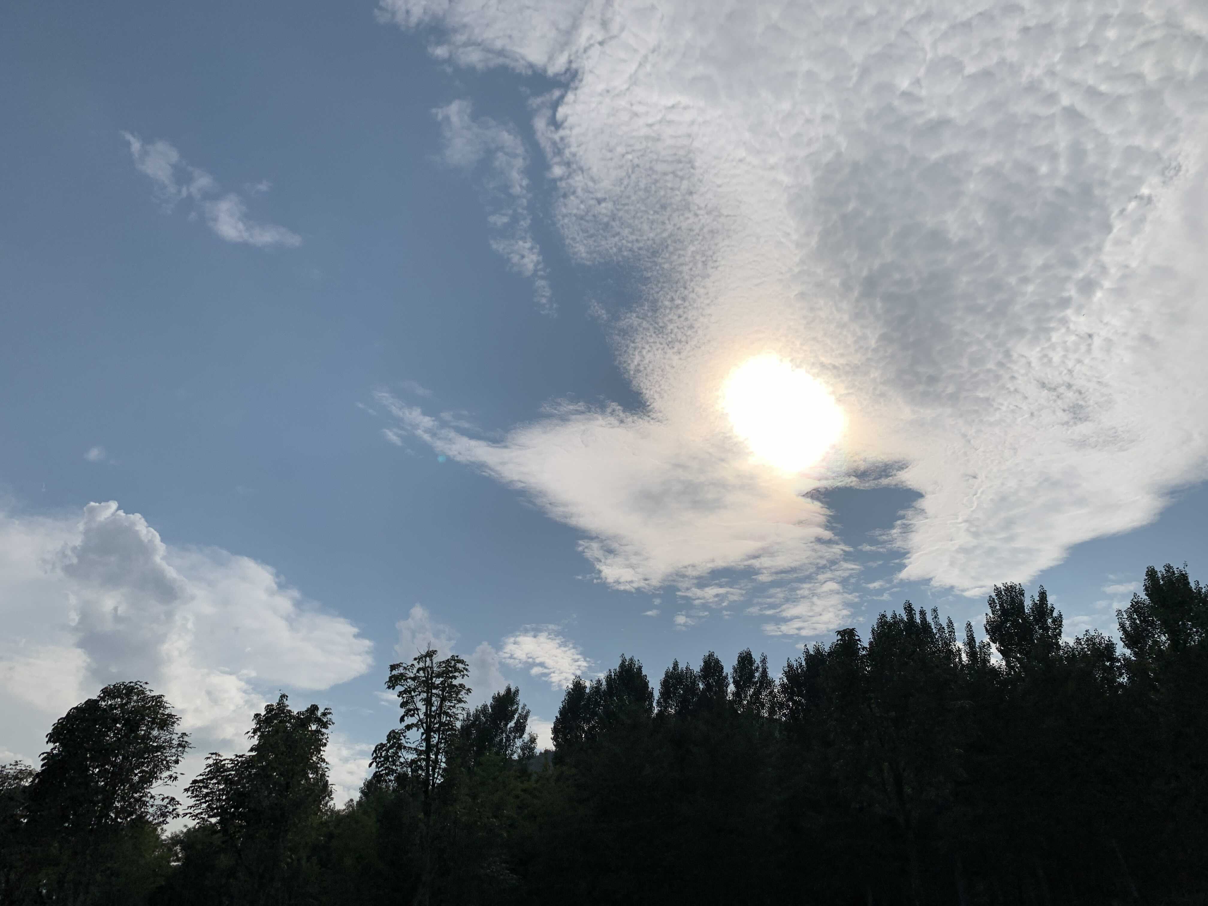 小Z助手下载：大峪山灵堂迁移，祭奠新模式的便利与挑战