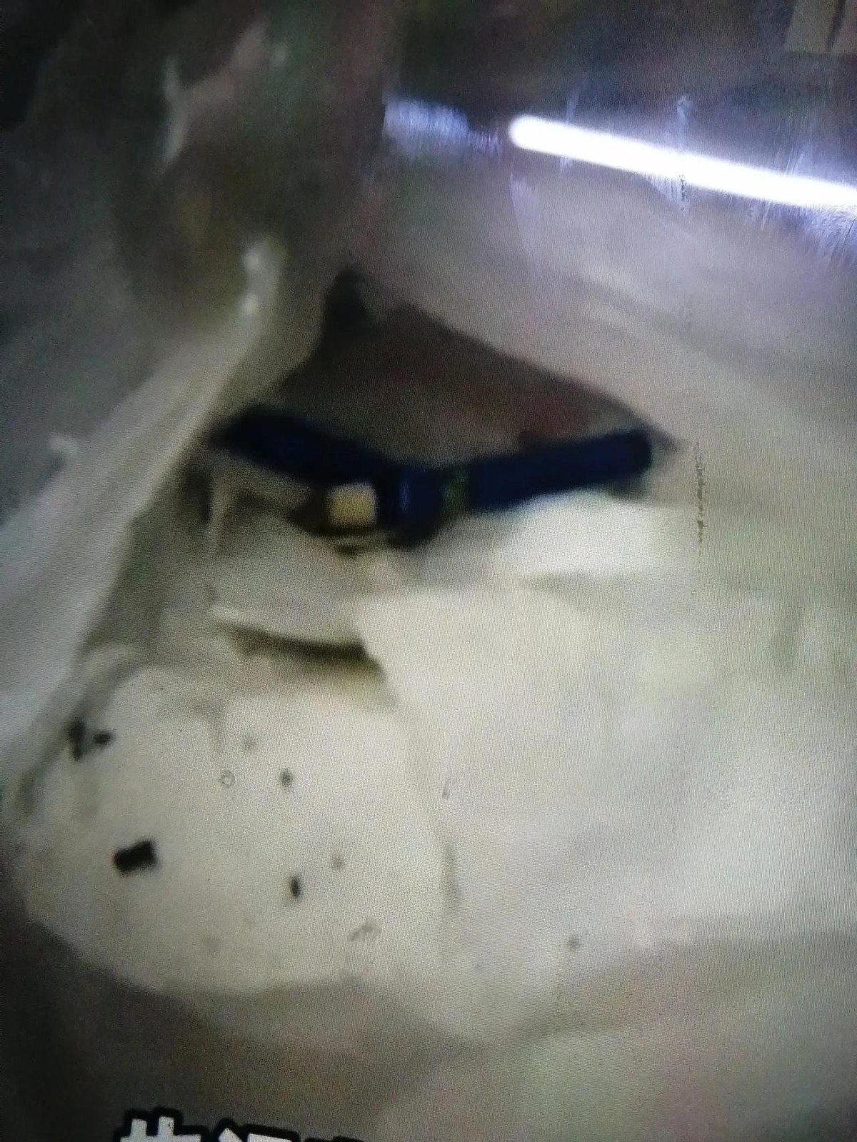 易评助手下载安装：网购惊现“重磅惊喜”，西安女子收到包裹中的两斤屎引发热议