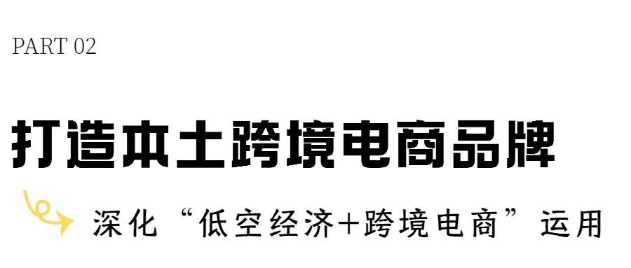 小G助手软件下载：无人机跨境电商“闪电送达”，开启购物新体验与低空经济新篇章