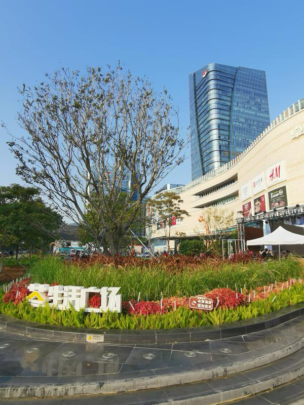 潜力鸭：深圳福田区舒芙蕾甜品店推荐与优惠指南