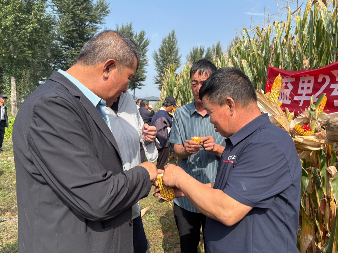 小评评助手最新版本：神木市秋季玉米田间观摩会，优质品种助力农业增产提效