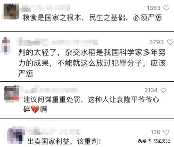 琦玉助手卡密：杂交水稻亲本种子走私案，背叛国家安全的法律惩罚引发舆论热议