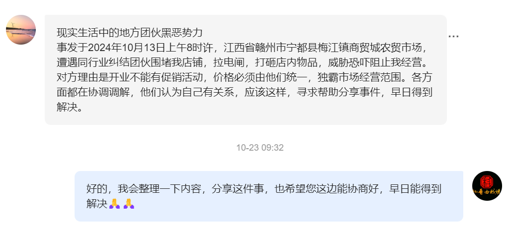 小评评助手教程：农贸市场黑恶势力围堵，小店主的生存斗争与反抗故事