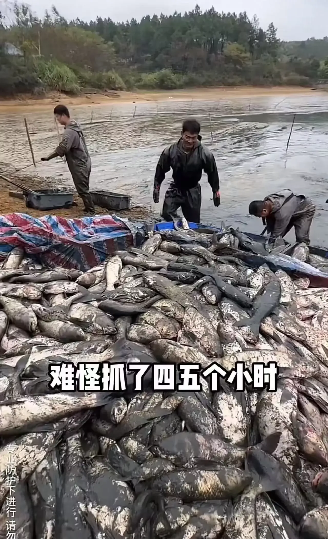 易团助手教程：19岁男生为求学，忍痛卖父亲留给他的鱼塘，感动无数网友支持与祝福