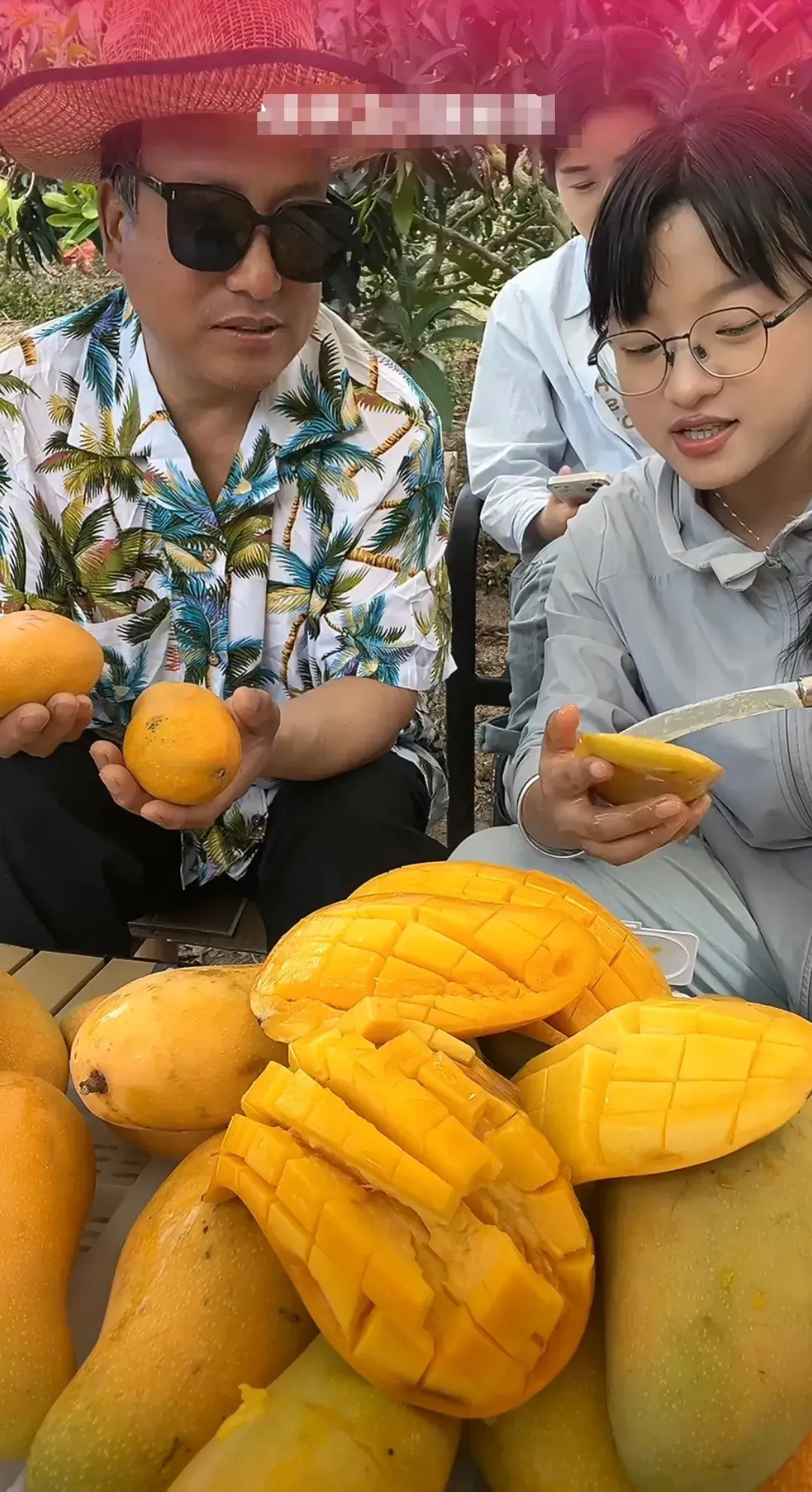 番茄管家卡密：甘肃女主播如何通过直播带货改变海南芒果的销售格局？