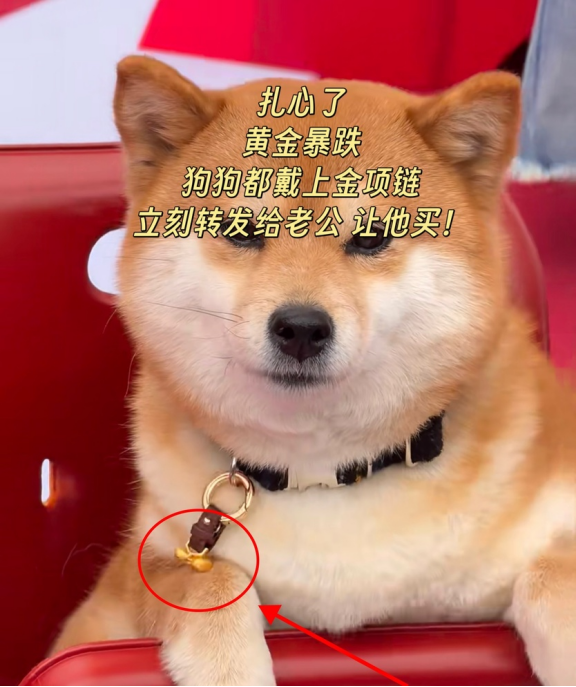 小评评助手：金价暴跌背后真相，美元走强与消费陷阱解析