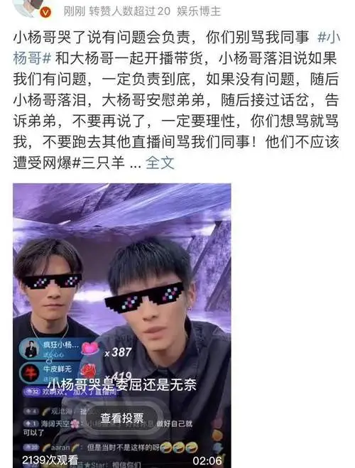 番茄管家教程：嘴哥否认与小杨哥师徒关系，引发网友热议与关注