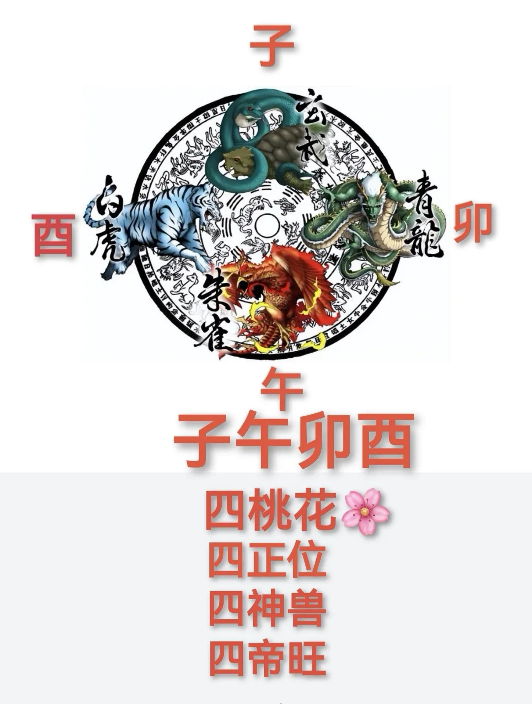 茄子助手使用方法：电商直播带货，揭秘董宇辉、李佳琦与辛巴的财富秘密