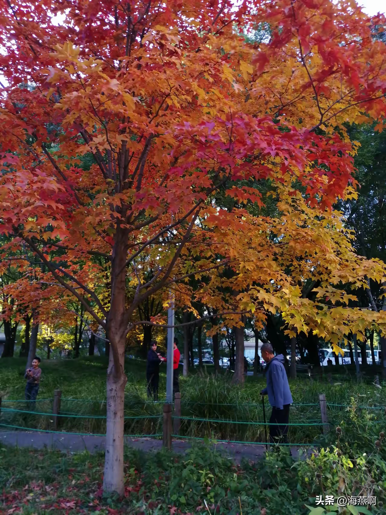 易评助手软件：为何我老公总能秒睡？揭秘心大男人的独特睡眠能力