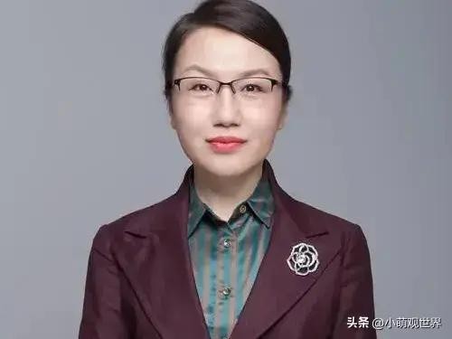 拼多多动销出评：李莉教授关闭评论区背后的深层原因与公众舆论的挑战分析