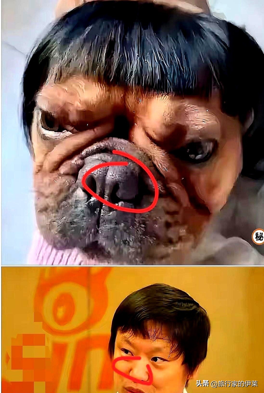超单助手软件：董明珠的用人哲学，高学历不代表能力，职场如同市场挑选真材实料
