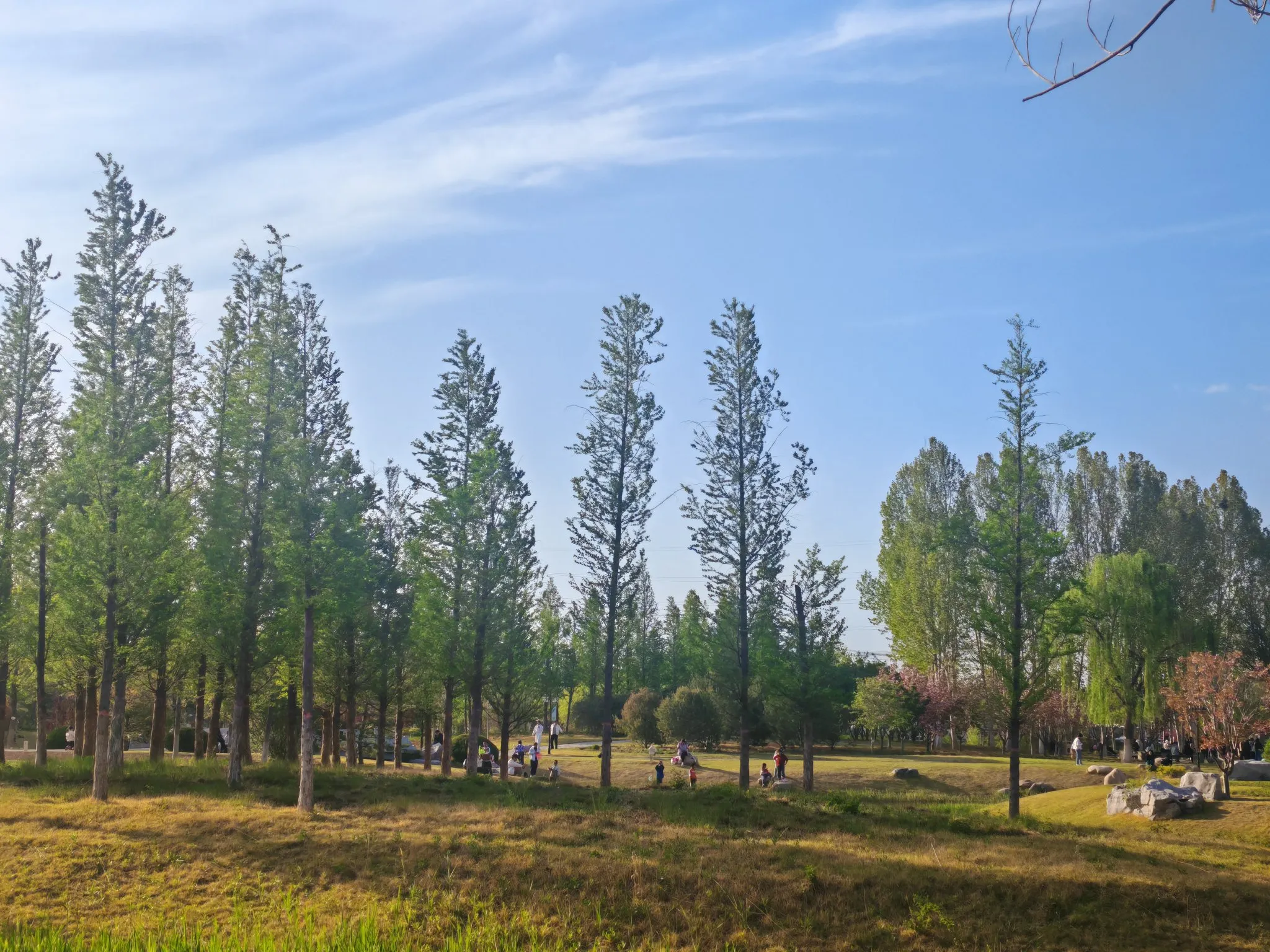超单助手靠谱吗：40岁职场迷茫，辞职后是开店还是找稳定工作？